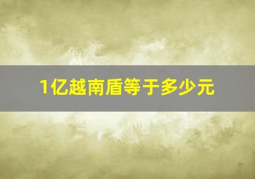 1亿越南盾等于多少元