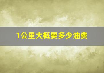 1公里大概要多少油费