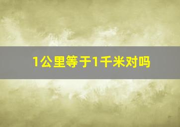 1公里等于1千米对吗