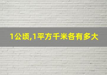 1公顷,1平方千米各有多大