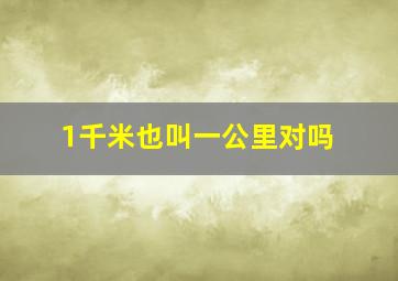 1千米也叫一公里对吗