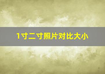 1寸二寸照片对比大小