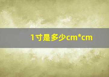 1寸是多少cm*cm