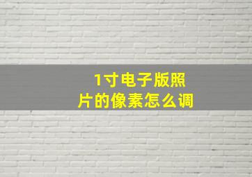 1寸电子版照片的像素怎么调