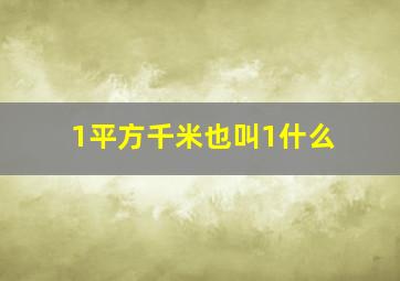 1平方千米也叫1什么