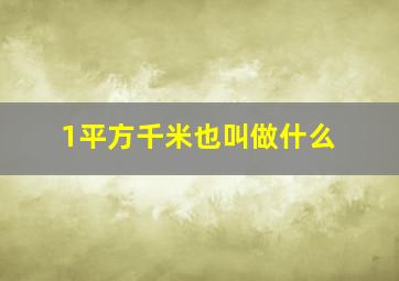 1平方千米也叫做什么