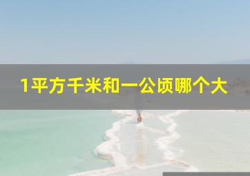 1平方千米和一公顷哪个大