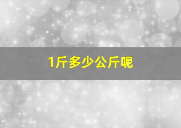 1斤多少公斤呢