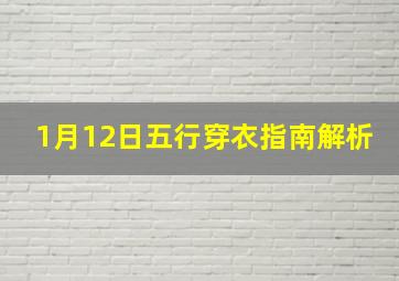 1月12日五行穿衣指南解析