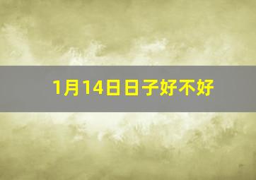 1月14日日子好不好