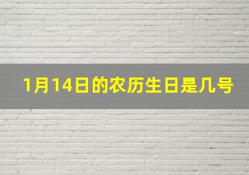 1月14日的农历生日是几号