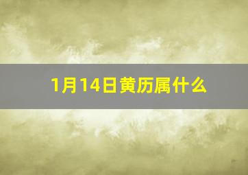 1月14日黄历属什么