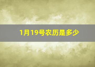 1月19号农历是多少