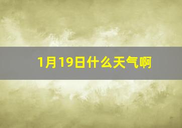 1月19日什么天气啊