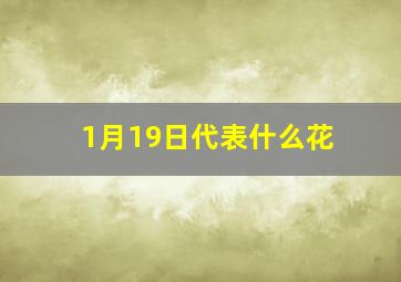 1月19日代表什么花