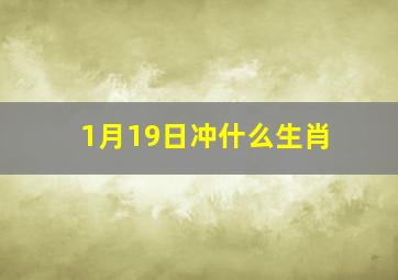 1月19日冲什么生肖