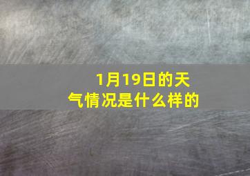 1月19日的天气情况是什么样的