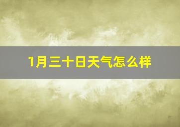 1月三十日天气怎么样