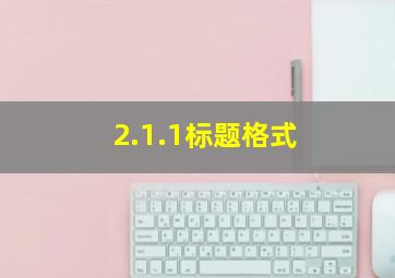 2.1.1标题格式