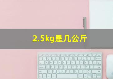 2.5kg是几公斤