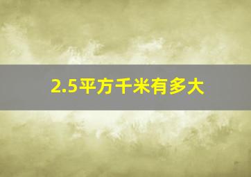 2.5平方千米有多大