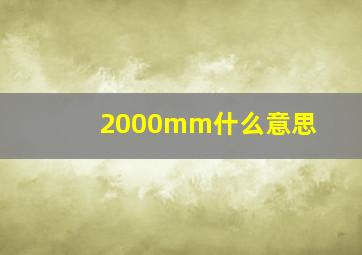 2000mm什么意思