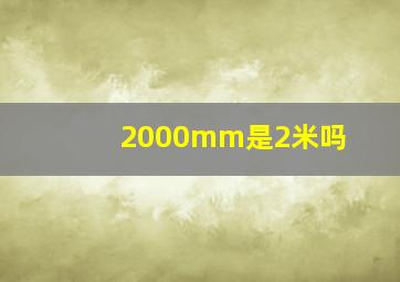 2000mm是2米吗