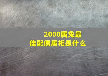 2000属兔最佳配偶属相是什么