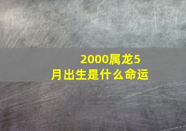 2000属龙5月出生是什么命运