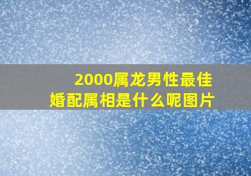 2000属龙男性最佳婚配属相是什么呢图片