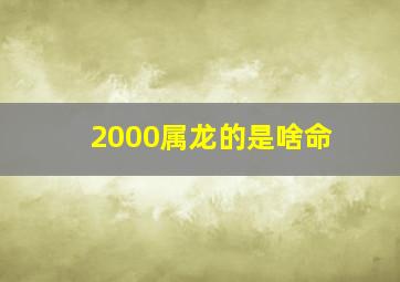 2000属龙的是啥命