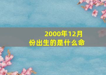 2000年12月份出生的是什么命