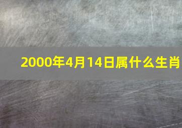 2000年4月14日属什么生肖