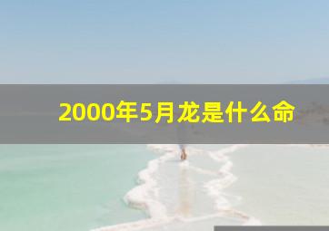 2000年5月龙是什么命