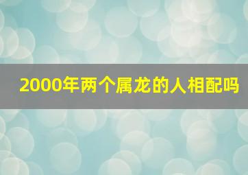 2000年两个属龙的人相配吗