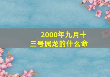 2000年九月十三号属龙的什么命