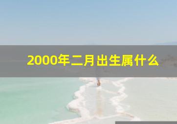 2000年二月出生属什么