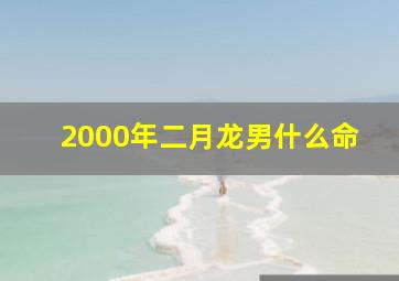 2000年二月龙男什么命