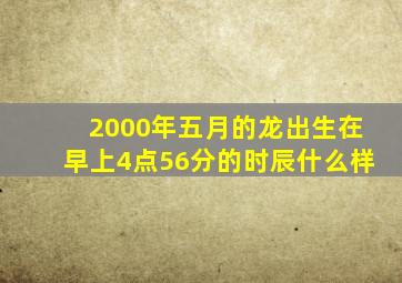 2000年五月的龙出生在早上4点56分的时辰什么样