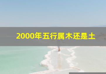 2000年五行属木还是土