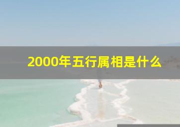 2000年五行属相是什么