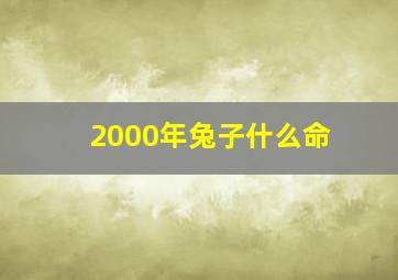 2000年兔子什么命