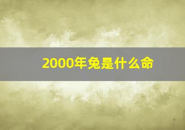 2000年兔是什么命