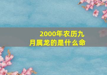 2000年农历九月属龙的是什么命