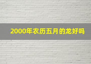 2000年农历五月的龙好吗