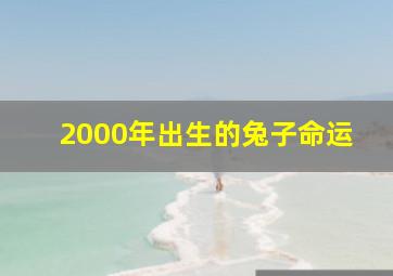 2000年出生的兔子命运