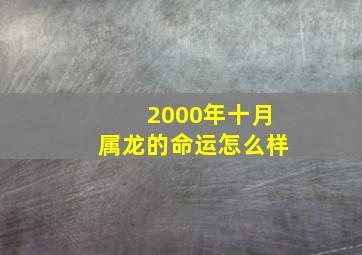 2000年十月属龙的命运怎么样