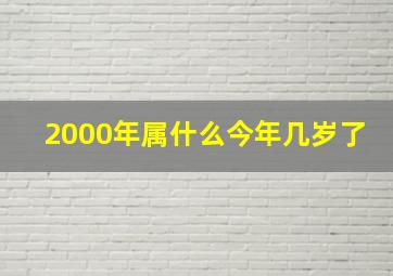 2000年属什么今年几岁了