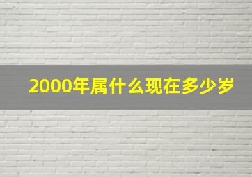 2000年属什么现在多少岁