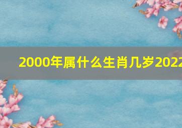 2000年属什么生肖几岁2022